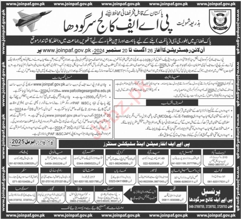 PAF College Jobs In Karachi 2024 Detail