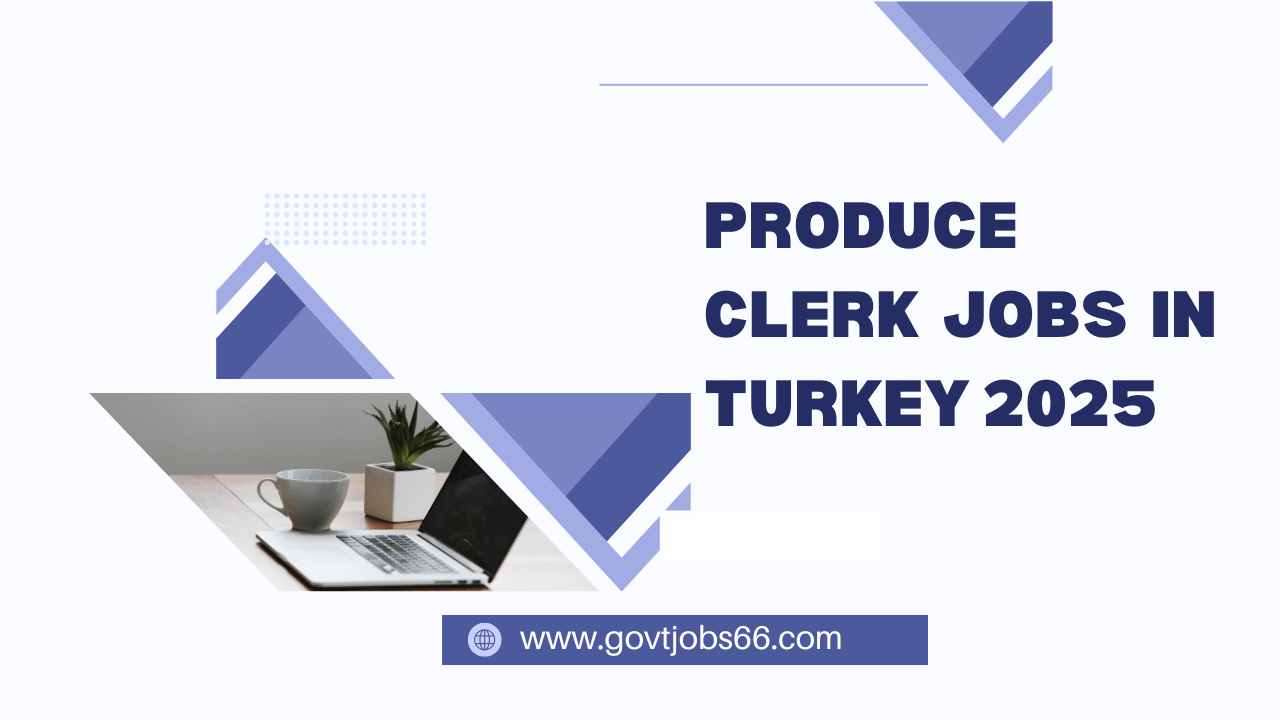 Jobs in Turkey 2025