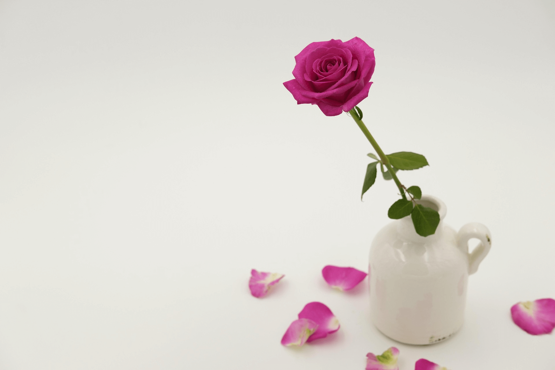 Celebrate Rose Day
